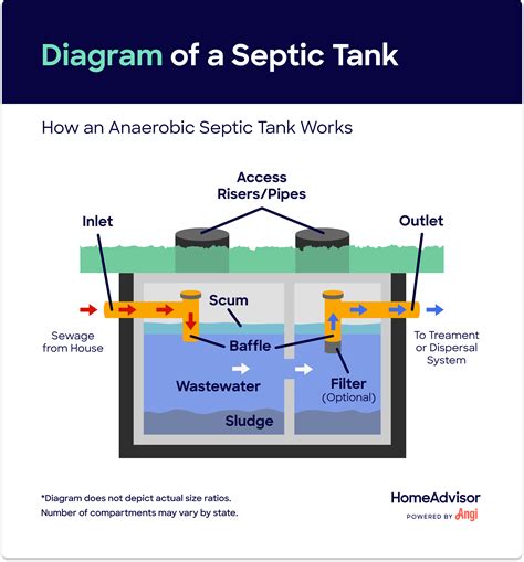 septic tank works