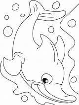 Coloring Dolphin Pages Printable Uncommon Common Favorite Animals Fish sketch template