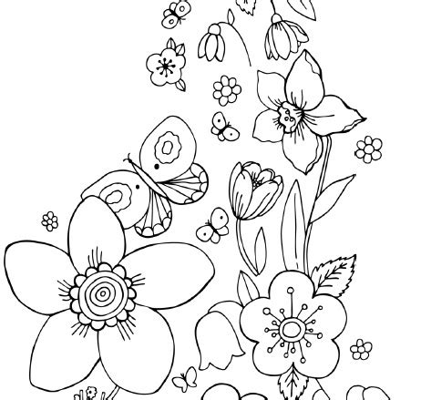 coloring pages  roses  butterflies   page youll find