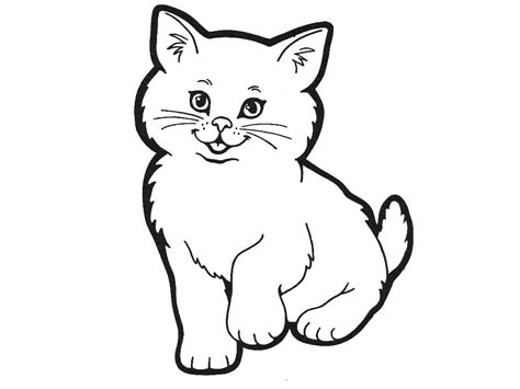 coloring pages  cat outline