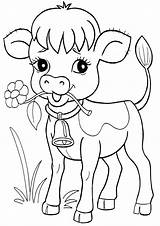 Calf Coloring Pages sketch template