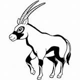 Oryx Antelope Surfnetkids sketch template