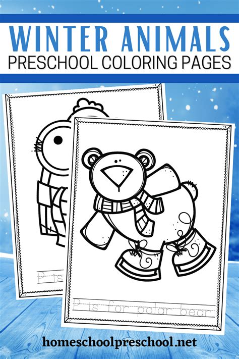 winter animals preschool coloring pages    pre