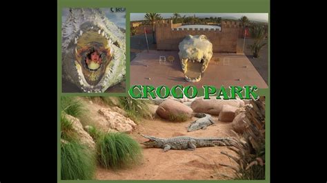 crocoparc agadir premier parc à crocodiles au maroc youtube