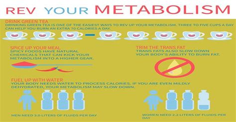 6 Easy Ways To Boost Metabolism Increase Your Energy And Burn Fat