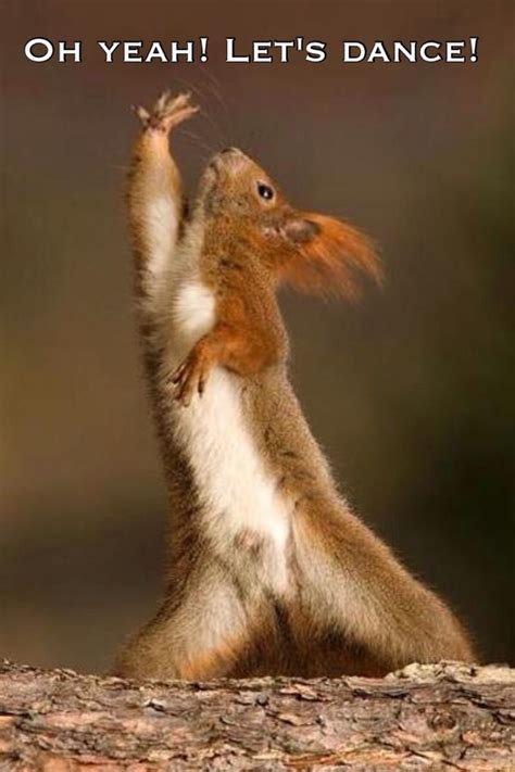 It’s Friday Do A Little Dance And Say “oh Yeah ” T