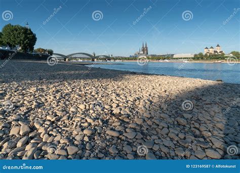 droogte  duitsland laag water op rijn rivier redactionele fotografie image  openlucht