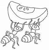 Hormigas Formiga Ants Colorat Hormiga Furnici Fourmi Colorir Animale Formigas Imagini Planse P02 Trabajadora Fourmis Imagens Primiiani Tamanoir Comportement Altruisme sketch template
