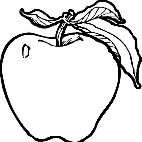 fruit coloring pages  students educative printable