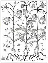 Coloring Herb Pages Herbs Getcolorings Print Getdrawings sketch template
