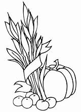 Coloring Wheat Pumpkin Apples Sheaf Pages Printable Line Drawing Supercoloring Color Getdrawings sketch template
