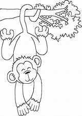 Monyet Pages Mewarnai Tulamama sketch template
