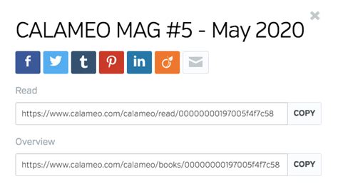 optimize  publications  social media posts calameo blog