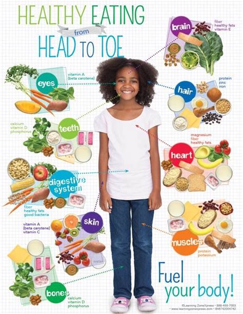 kids healthy eating  head  toe handouts kids nutrition healthy