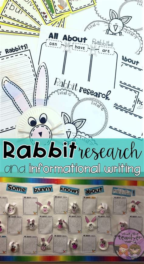 rabbit research   common core easter writing writing crafts