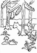 Wald Fuchs Ausmalen Malvorlage Ausdrucken Ausmalbilder Malvorlagen Füchse sketch template