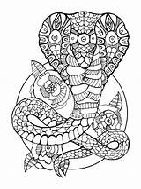Cobra Snake Coloring Book Adults Drawing Adult Tattoo Illustration Mandala Curve Stencil Pages Colouring Doodle sketch template