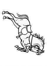 Paard Saltando Springend Pferd Caballo Springendes Malvorlage Cavallo Schulbilder Ausmalbild Educima Educolor Kleurplaten sketch template