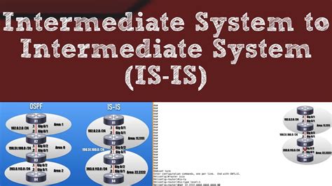 intermediate system  intermediate system   routing protocol fundamentals youtube