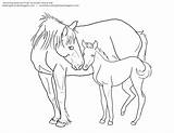 Foal Horse Coloring Pages Mustang Clipart Mare Lineart Getcolorings Printable Getdrawings Drawing Webstockreview sketch template