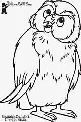 Coloring Owl Pages Little Bear Color Hibou Coloriage Imprimer Animals Printable sketch template