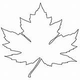 Leaf Maple Drawing Clipart Canada Outline Graphic Cliparts Coloring Arts Clipartbest Library sketch template
