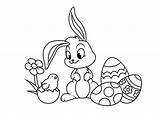Conejos Conejo Pascua Adorables Saber Quieres Echa Vistazo sketch template