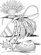 Hermit Crab Shell Coloring sketch template