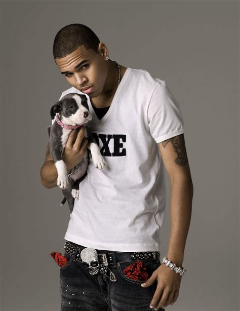 chris brown chris brown photo  fanpop