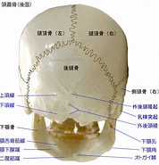 頭蓋骨 整形外科 に対する画像結果.サイズ: 178 x 185。ソース: www.takatsu-chiro.com