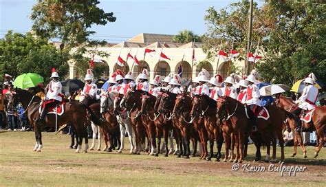 royal barbados police force mounted division photo kevin culpepper