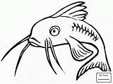 Catfish Fish Drawing Coloring Pages Getdrawings sketch template