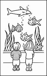 Aquarium Vissen Fisch Ausmalbilder Dieren Akwarium Acuario Colorat Poisson Colorir Peixes Kolorowanki Tank Animale Pestisori Imagens P65 Pesci Malvorlage Planse sketch template