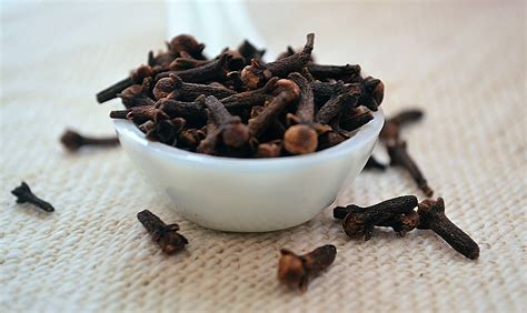 clove oil eugenol extract  treating  toothache