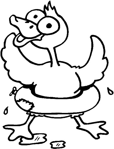 duckling coloring pages  coloring pages  kids coloring pages