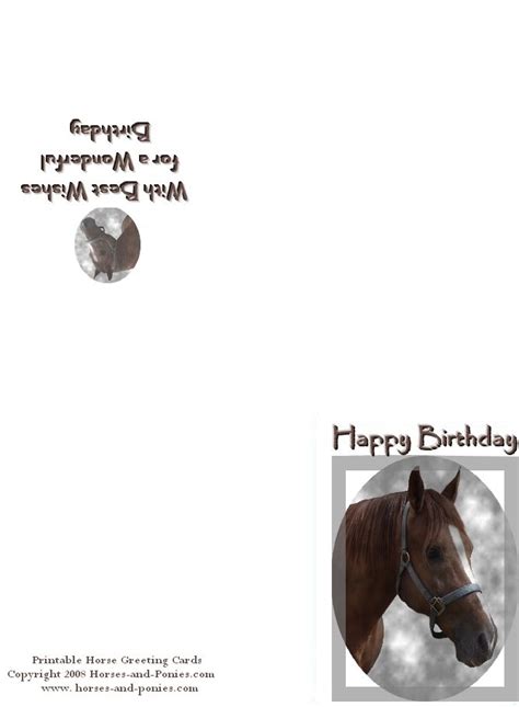 horse birthday cards horses  ponies