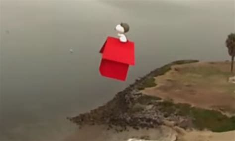 check   drone    snoopy   doghouse video