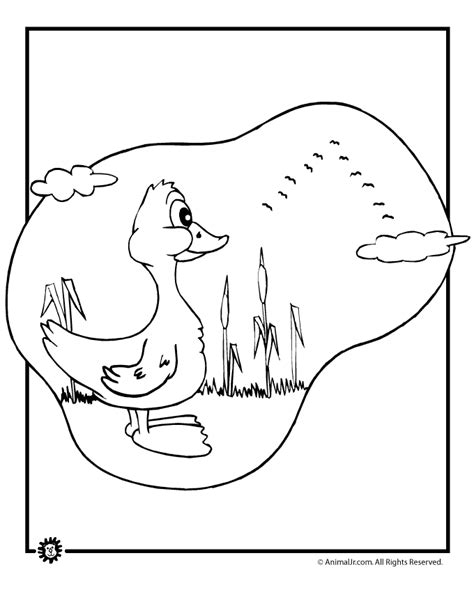 forest animal coloring pages coloring home