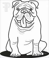 Bulldog Coloring Pages English Drawing Camera Line Adult Sheets Easy Kids Dog Drawings Printable Georgia Colouring Cctv Book Outline Puppy sketch template
