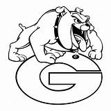 Georgia Bulldogs Logo Transparent Drawings College Grant Svg Community Vector Drawing Gustin Military Clipart School High Pngkey Logos Background Paintingvalley sketch template