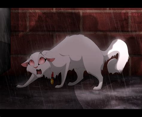 fool  nightrizer  deviantart warrior cats fan art warrior cats