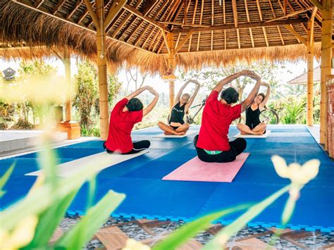 bali yoga retreat yoga retreats  bali reviewed