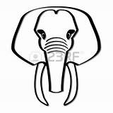Tusk Coloring Elephant Teeth Clipart 11kb 450px Clipground Tusks sketch template