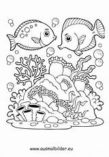 Fische Wasser sketch template