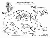 Coloring Pages Tundra Food Web Getcolorings sketch template