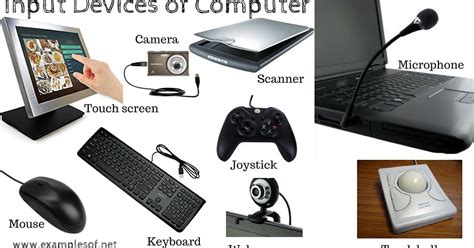 examples  input devices  computer examplesofnet
