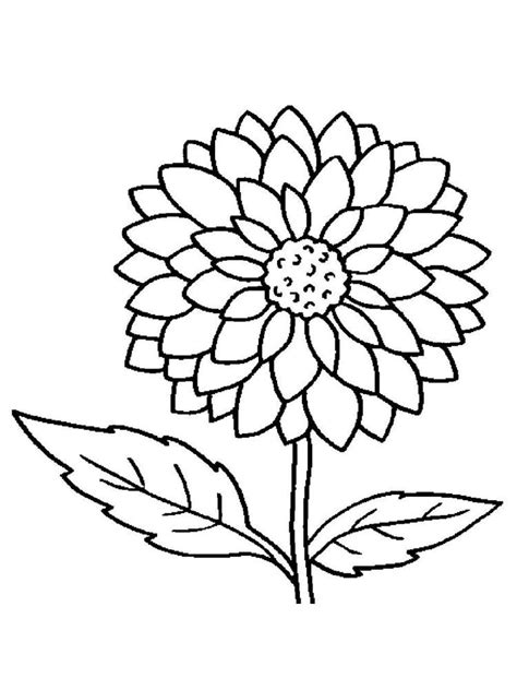 flower coloring pages  adults   wallpaper