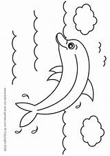 Coloring Pages Cute Dolphins Swim Sea sketch template