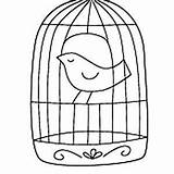 Cage Oiseaux Oiseau Colorier sketch template