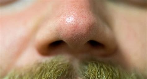 la forma del naso  influenzata dal clima galileo